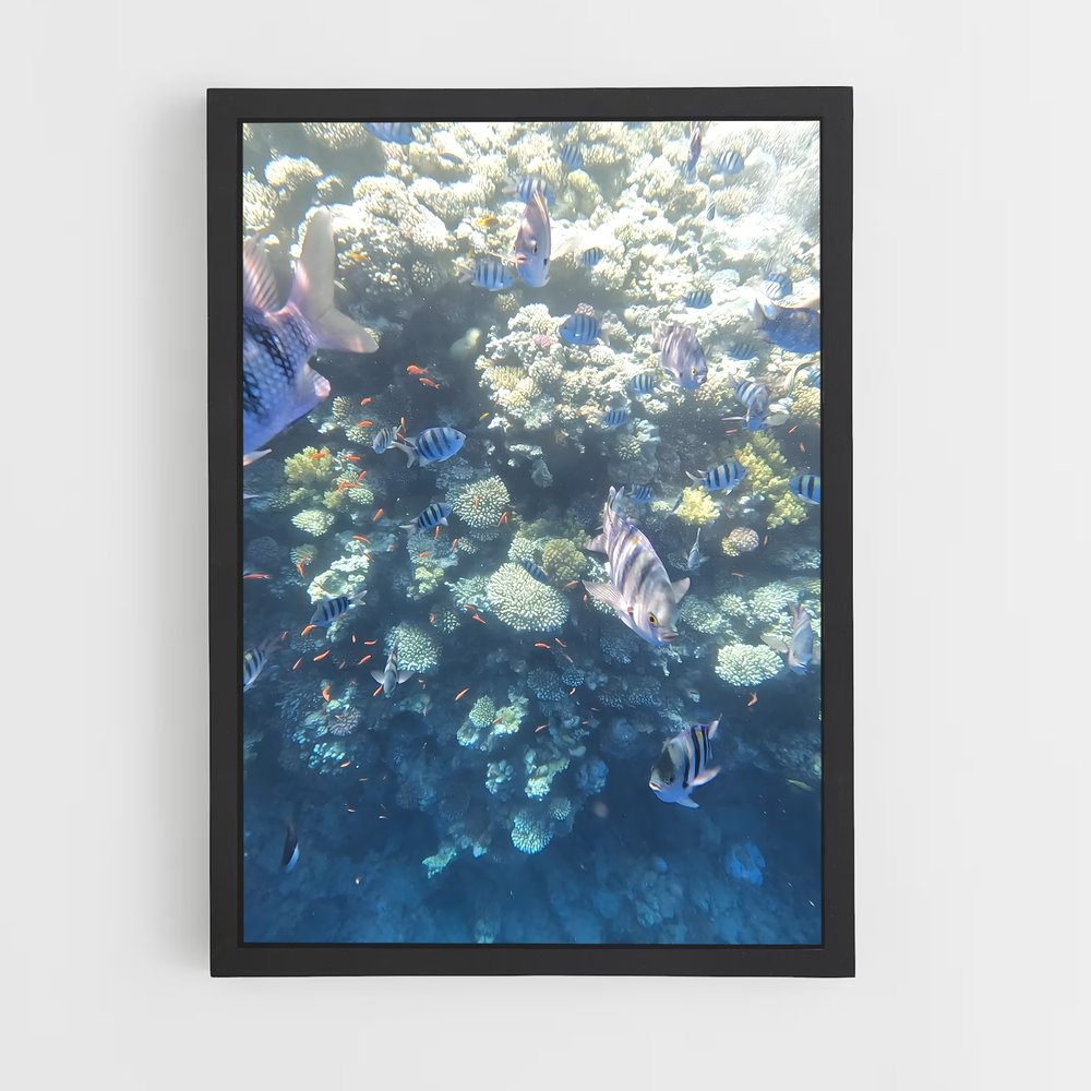 Poster Blue hole – affiche Plongée en apnée (vue 2)